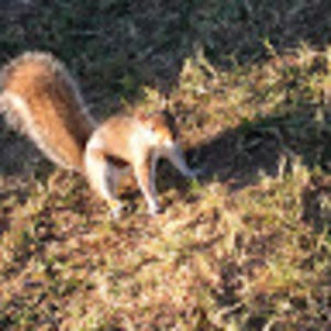 Meet your Posher, Ronald